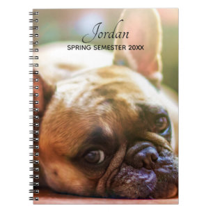 Cute Add YOUR Photos Name French Bulldog Notebook
