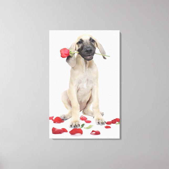 cute,admiration,romance,love, canvas print (Front)