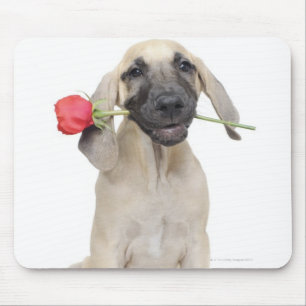 cute,admiration,romance,love, mouse mat