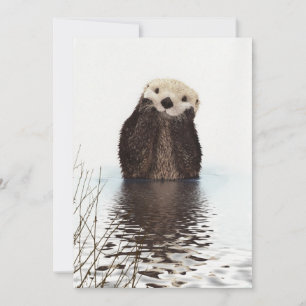 Cute Adorable Fluffy Otter Animal Card