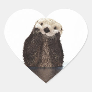 Cute Adorable Fluffy Otter Animal Heart Sticker