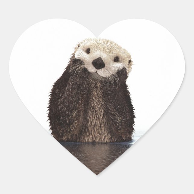 Cute Adorable Fluffy Otter Animal Heart Sticker (Front)