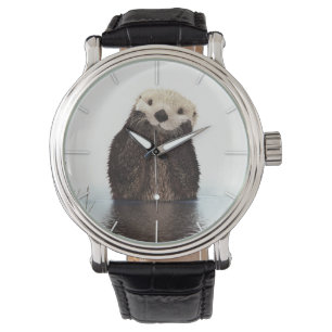 Cute Adorable Fluffy Otter Animal Watch