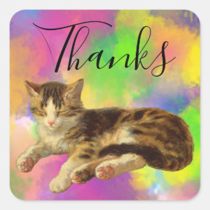 Cute Adorable Kitty Cat Thank You Abstract Rainbow Square Sticker