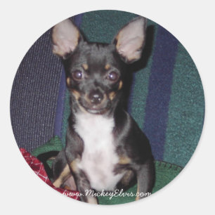 Cute & Adorable MickeyElvis Classic Round Sticker