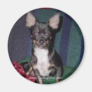 Cute & Adorable MickeyElvis Magnet