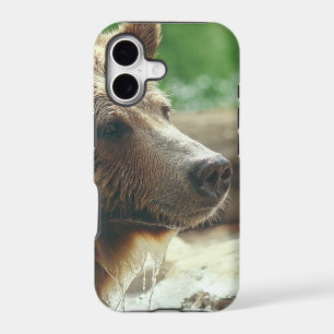 Cute Adorable Nature Bear Animal Face Eyes