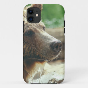 Cute Adorable Nature Bear Animal Face Eyes iPhone 11 Case