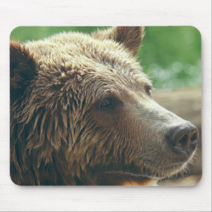 Cute Adorable Nature Bear Animal Face Eyes Mouse Mat