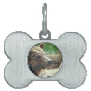 Cute Adorable Nature Bear Animal Face Eyes Pet Name Tag