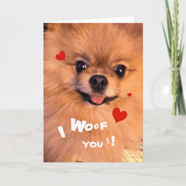 Cute Adorable Pet Pomeranian Sweetheart Valentine Holiday Card (Front)
