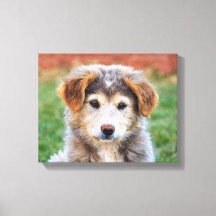Cute Adorable Puppy Dog Photo Canvas Print