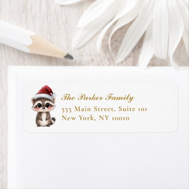 Cute, Adorable, Racoon With Santa Hat (Insitu)