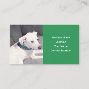 Cute Adorable White Puppy Dog Wearing Green Scarf Business Card