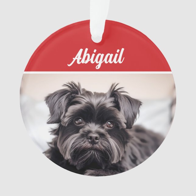 Cute Affenpinscher Dog Holiday Christmas Photo Ornament (Front)