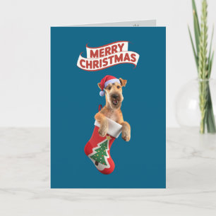 Cute Airedale Christmas Holiday Card