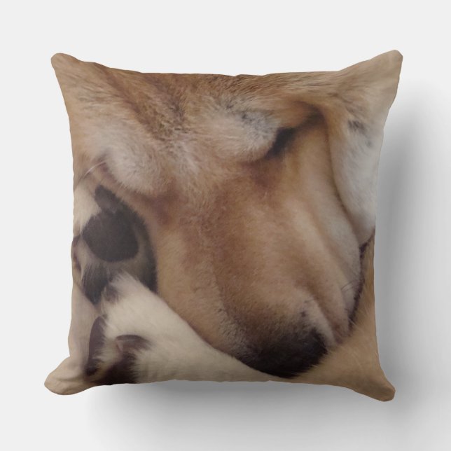 cute akita dog asleep cuddling paws original photo cushion (Front)