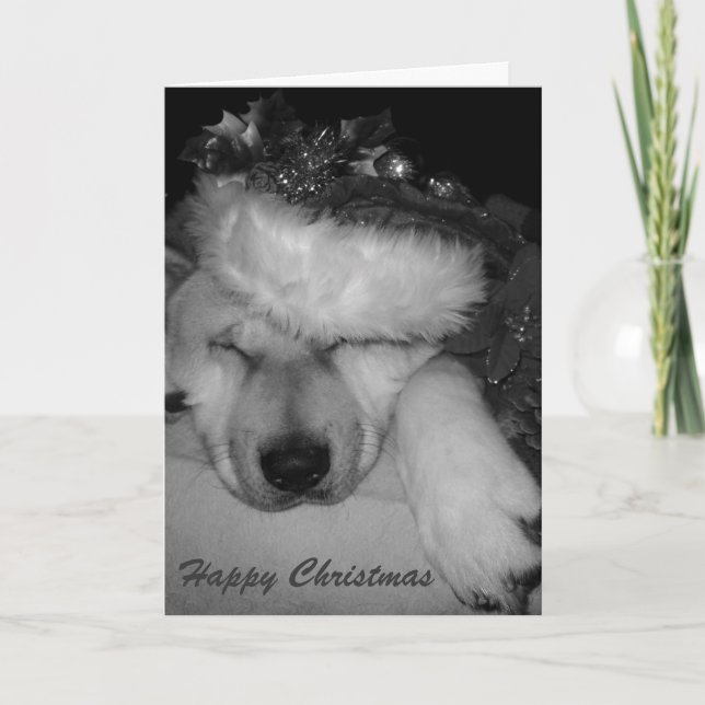 Cute akita dog asleep santa hat tinsel christmas holiday card (Front)
