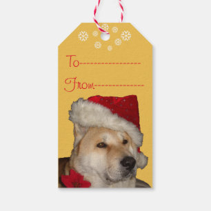 Cute akita dog dressed for christmas gift tags