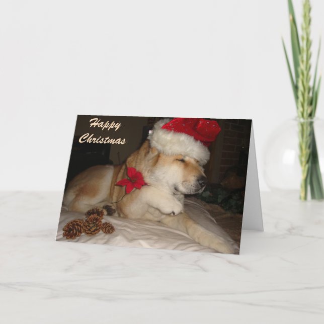 Cute akita dog giving paw santa hat cone christmas holiday card (Front)