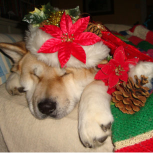 Cute akita dog santa hat cone decoration christmas jigsaw puzzle