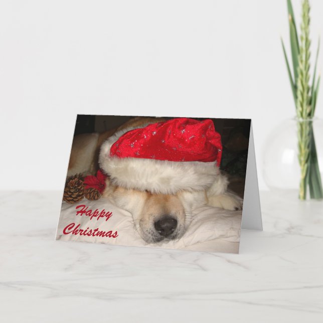 Cute akita dog santa hat cones asleep christmas holiday card (Front)