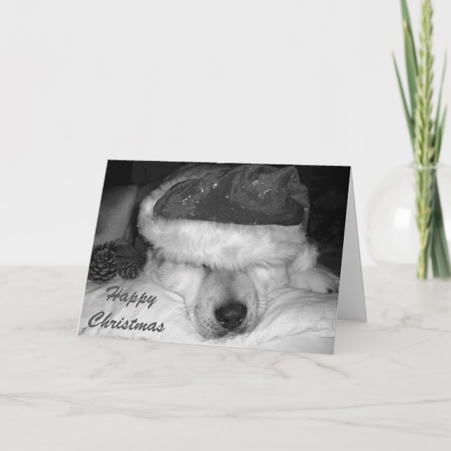 Cute akita dog santa hat cones asleep christmas holiday card (Front)