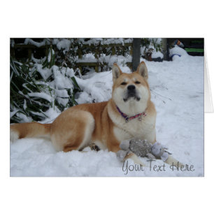 Cute akita dog snow scene with grey mouse toy