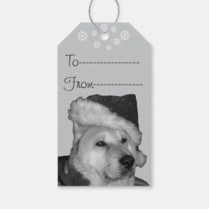 Cute akita in red santa hat christmas dog gift tags