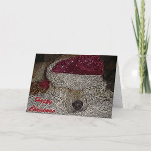 Cute akita in santa hat and cones asleep christmas holiday card
