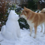 cute akita kissing snowman akita photo christmas square sticker<br><div class="desc">This funny snow akita snowman was built just after Christmas in the thick December snow.The snow akita has a funny expression on his face, but… I think anyone would look like he does if they’d been sitting in the cold snow for hours. The pretty Japanese akita girl giving the snow...</div>
