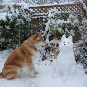 cute akita sitting with snowman snow dog metal tree decoration