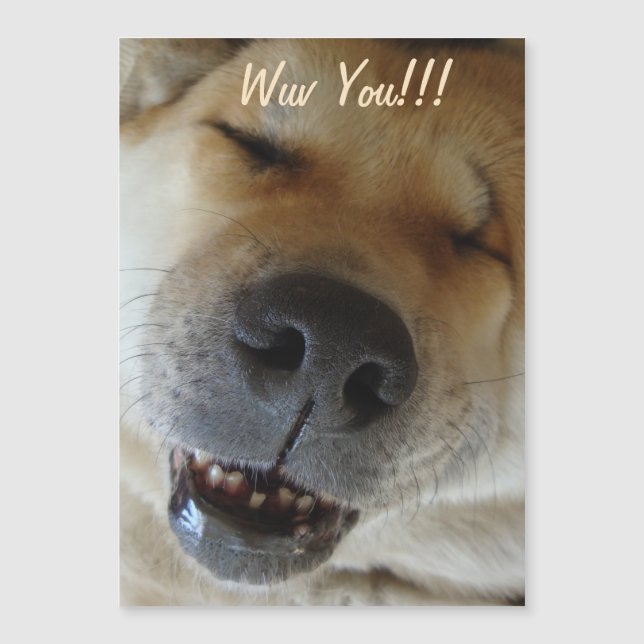 cute akita smiling funny dog love (Front)