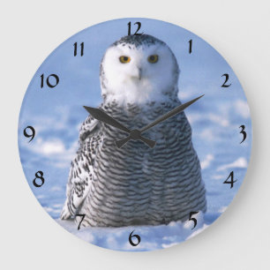 Cute Alaska Arctic Snowy Owl Winter Photo Designed Large Clock