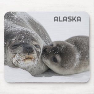 Cute Alaska Baby Seal and Mum Mouse Pad