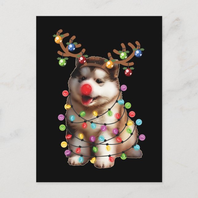 Cute Alaskan Malamute Dog Christmas Holiday Gifts Postcard (Front)