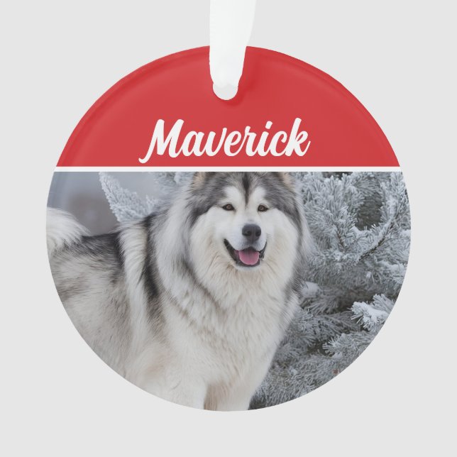 Cute Alaskan Malamute Dog Holiday Christmas Photo Ornament (Front)