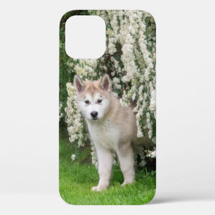 Cute Alaskan Malamute Dog Puppy in Flowers Photo iPhone 12 Case