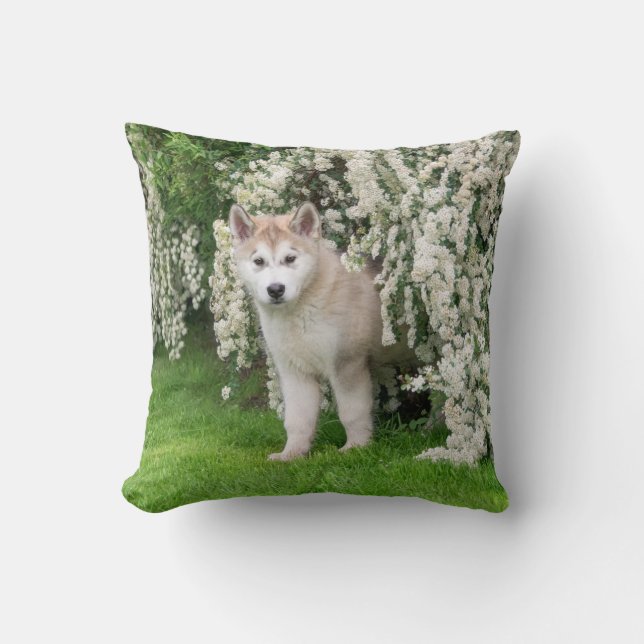 Cute Alaskan Malamute Dog Puppy in Flowers Photo  Cushion (Front)