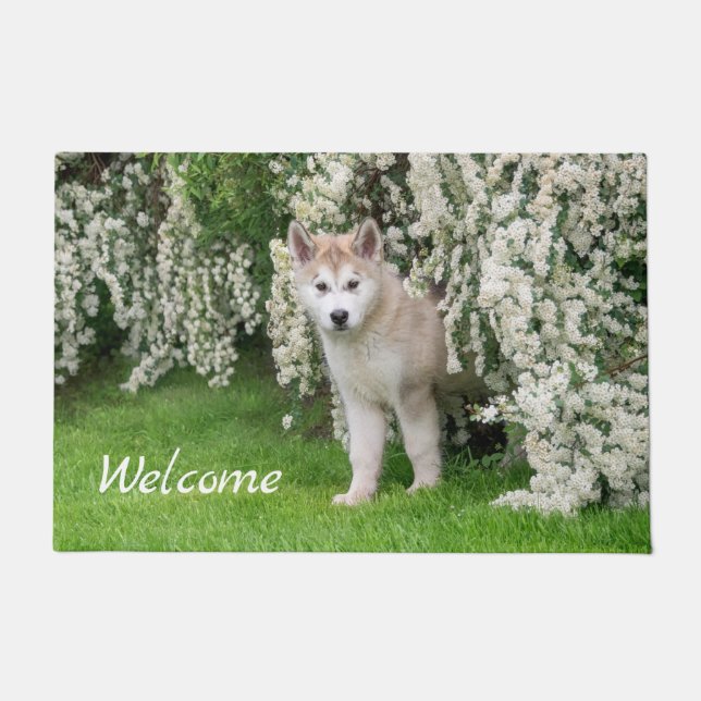 Cute Alaskan Malamute Dog Puppy in Flowers Photo   Doormat (Front)