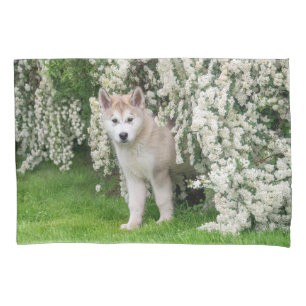Cute Alaskan Malamute Dog Puppy in Flowers Photo   Pillowcase