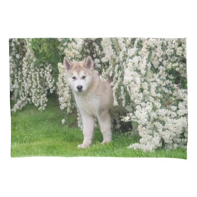 Cute Alaskan Malamute Dog Puppy in Flowers Photo   Pillowcase (Front)