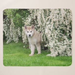 Cute Alaskan Malamute Dog Puppy in Flowers Photo Sherpa Blanket