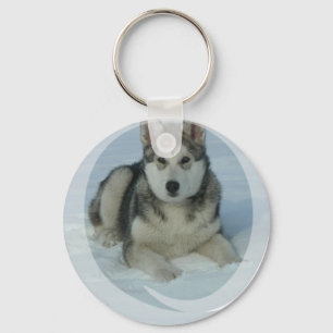 Cute Alaskan Malamute Key Ring