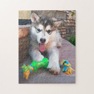 Cute Alaskan Malamute Puppy Close-Up Photo Jigsaw Puzzle