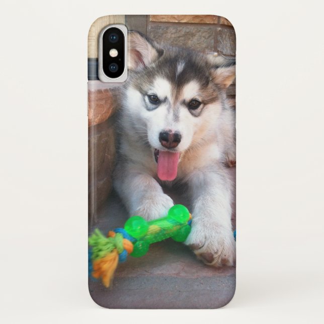Cute Alaskan Malamute Puppy With Rope Toy Photo Case-Mate iPhone Case (Back)