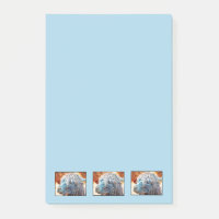 Cute Alpaca Baby in Blue