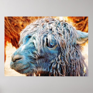 Cute Alpaca Baby in Blue Poster