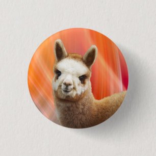 Cute Alpaca Buttons