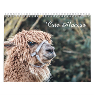 Cute Alpaca Calendar Fully Customisable